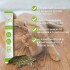 HIERBA GATERA CATNIP KIT DE 6 UNIDADES X 2 G C/JUGUETE INSECTO PARA GATOS HIERBA GATERA CATNIP KIT DE 6 UNIDADES X 2 G C/JUGUETE INSECTO PARA GATOS