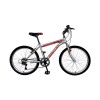 Bicicleta ALPINA MAN - Rodado 24 - Baccio Gris