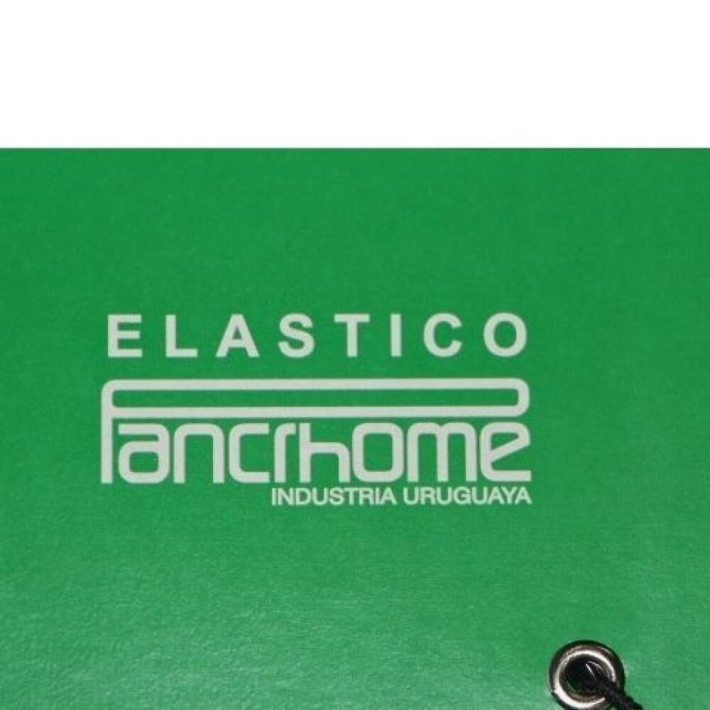 CARPETA PANCHROME CON ELASTICO 307 COLOR VERDE CARPETA PANCHROME CON ELASTICO 307 COLOR VERDE