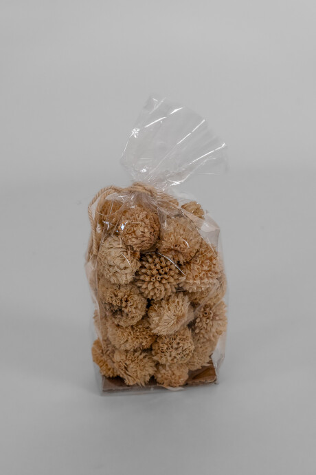 Deco Floral Seco Natural Color Unico