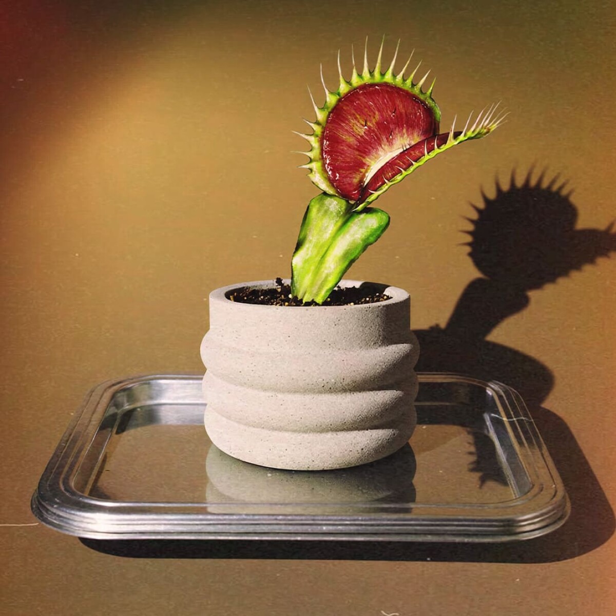 Maceta de cerámica Saturno 