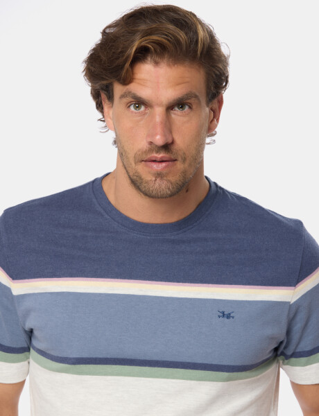REMERA RAYADA Gris