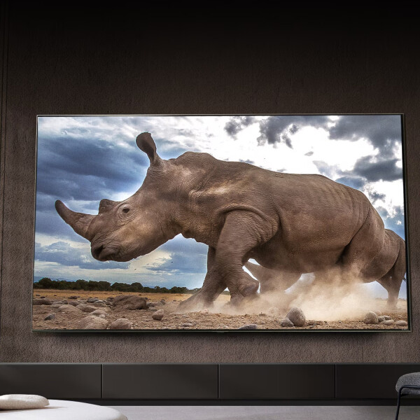 Smart Tv Lg 55qned80sra Qned 4k Ai Thinq 55" TV 55 LG QNED 55QNED80SRA
