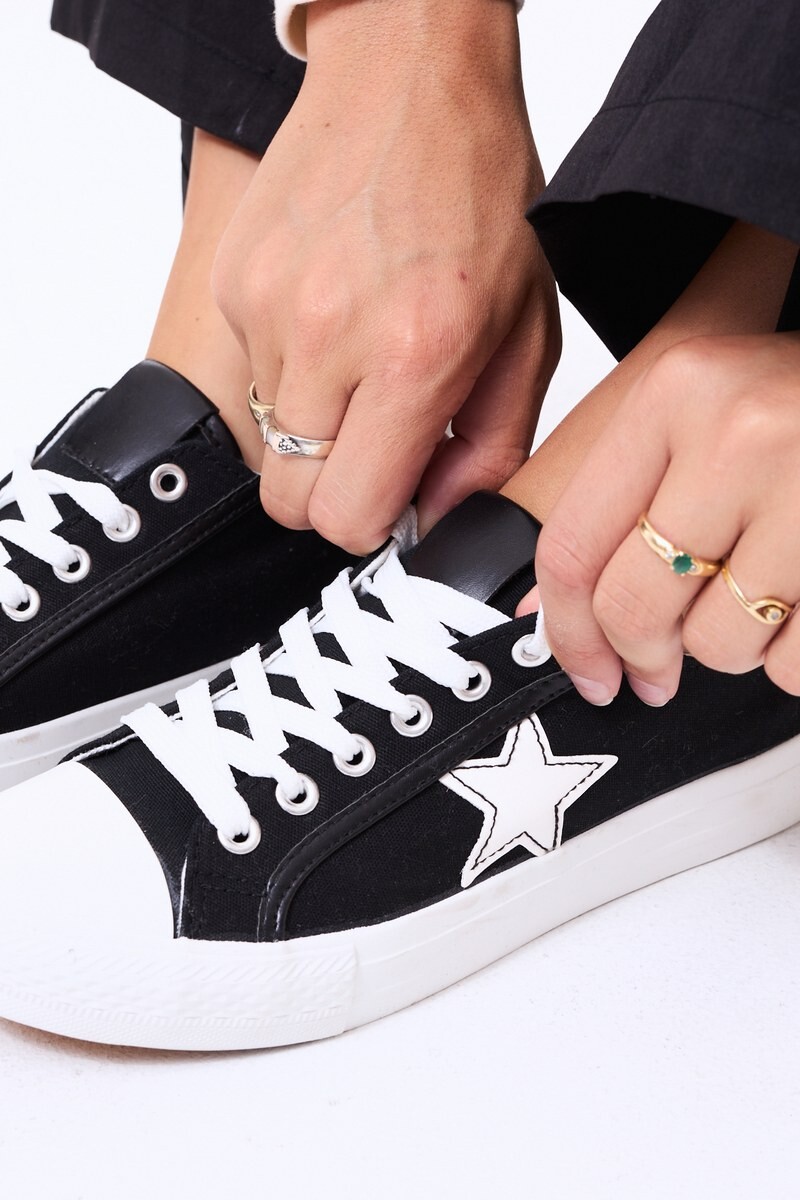 Champion Chiuahua Negro