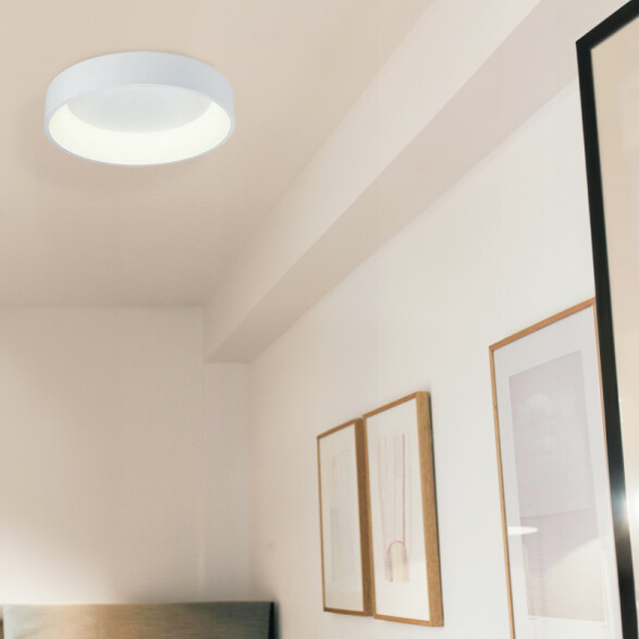 Plafón LED redondo blanco+difusor 27W cálida Ø45cm IX9350