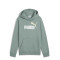 Buzo de Hombre Puma Logo Hoodie Verde