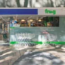 Frog 1