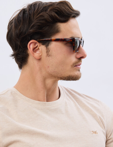 LENTES POLARIZADOS Marron
