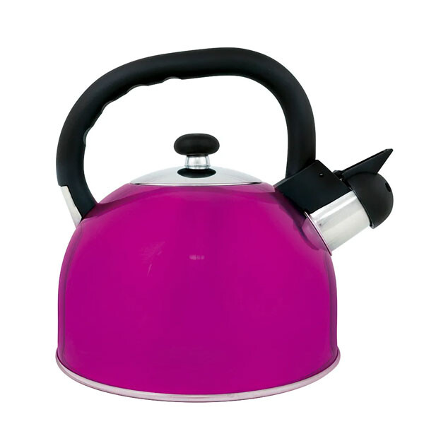 CALDERA ACERO INOXIDABLE 2.5 LTS. MATTINA MULTICOLOR