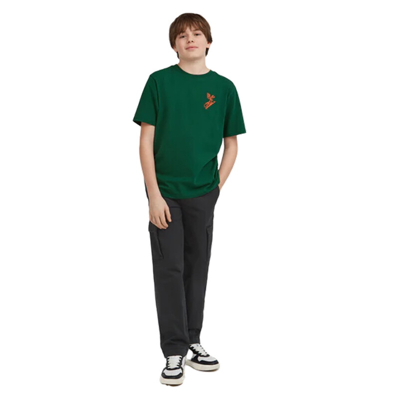 Remera Oneill Frozen Wave - Verde Remera Oneill Frozen Wave - Verde