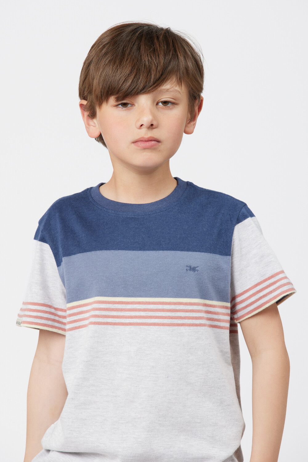 REMERA RAYADA Gris
