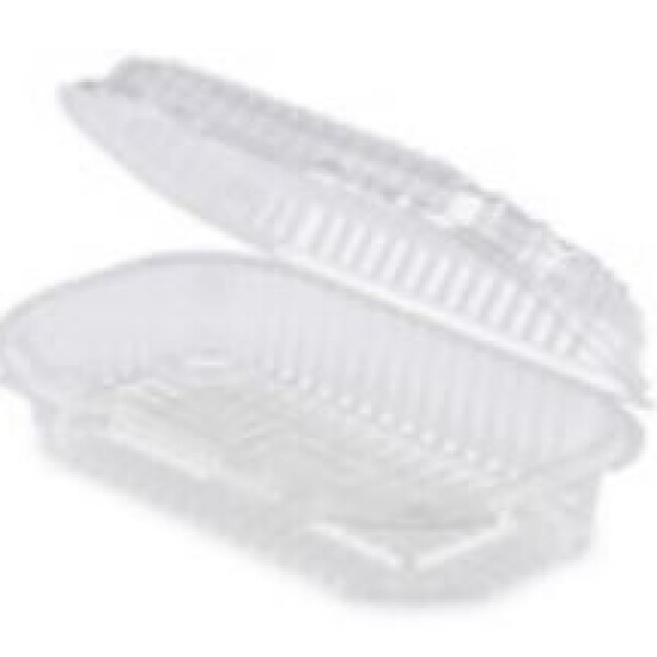 BLISTER PET CON TAPA BISAGRA 18 x 10,5 x 6,4 CM TRANSPARENTE