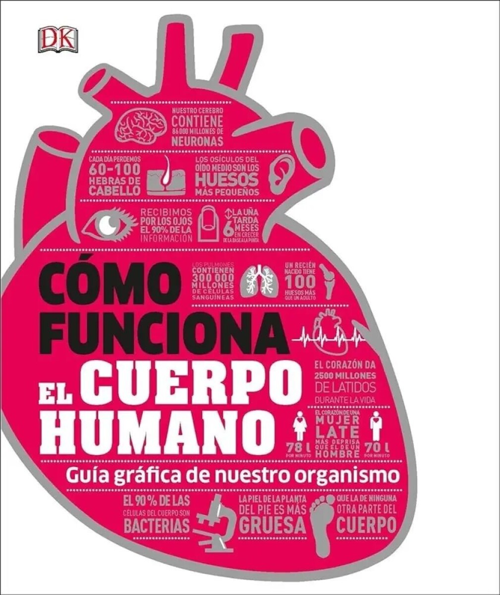 COMO FUNCIONA EL CUERPO HUMANO. GUIA GRAFICA DE NUESTRO ORGANISMO 