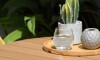 Sillas Símil Rattan con Mesa de Eucaliptus - Nassau Beige