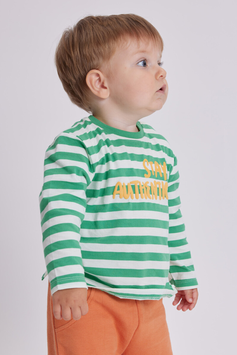 Remera estampa Verde