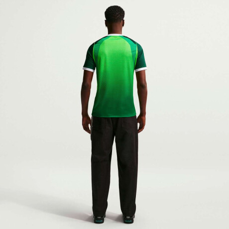 Remera Nigeria 2026 Stadium Camiseta Oficial De Hombre Verde