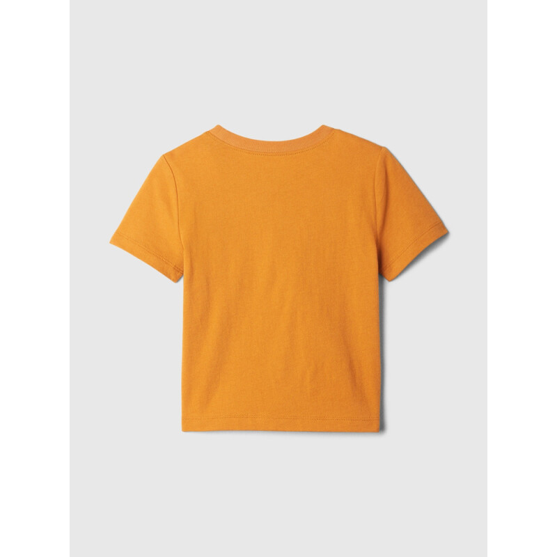 V-HS BF SS GR TEE TIGERS EYE 651