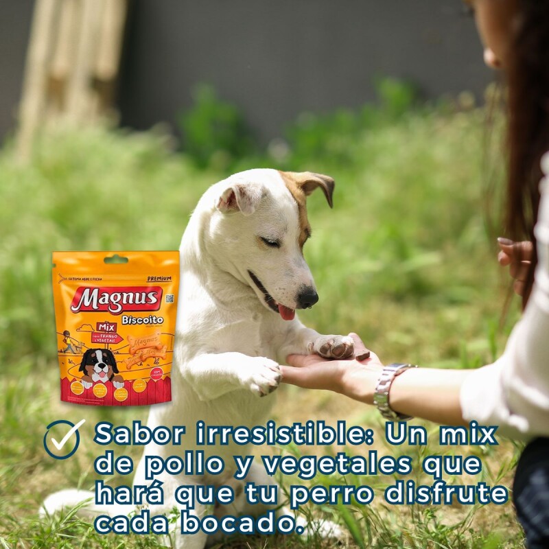 GALLETAS MAGNUS 1 KG GALLETAS MAGNUS 1 KG