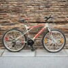 Bicicleta Baccio Alpina Man Montaña rodado 26 con 21 cambios GRIS