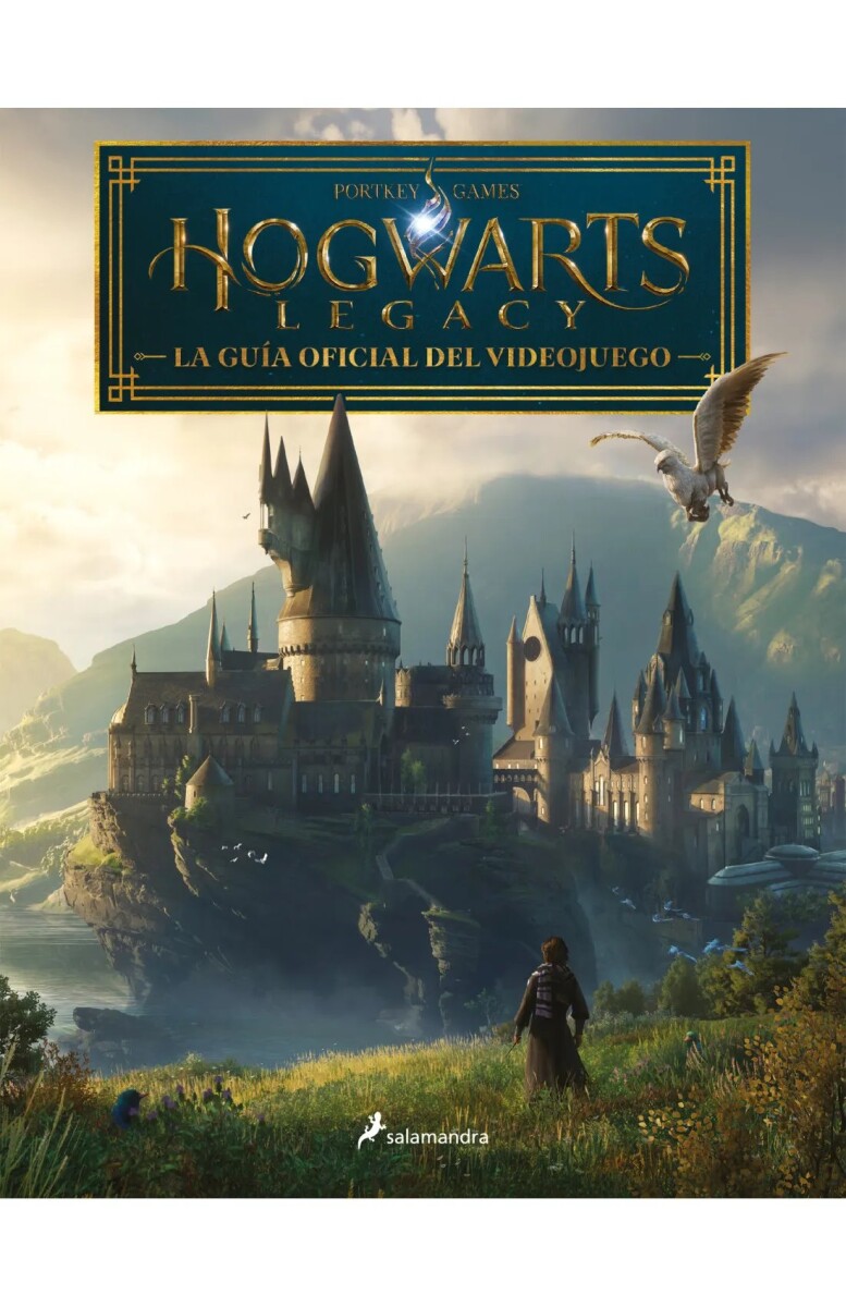 HOGWARTS LEGACY 