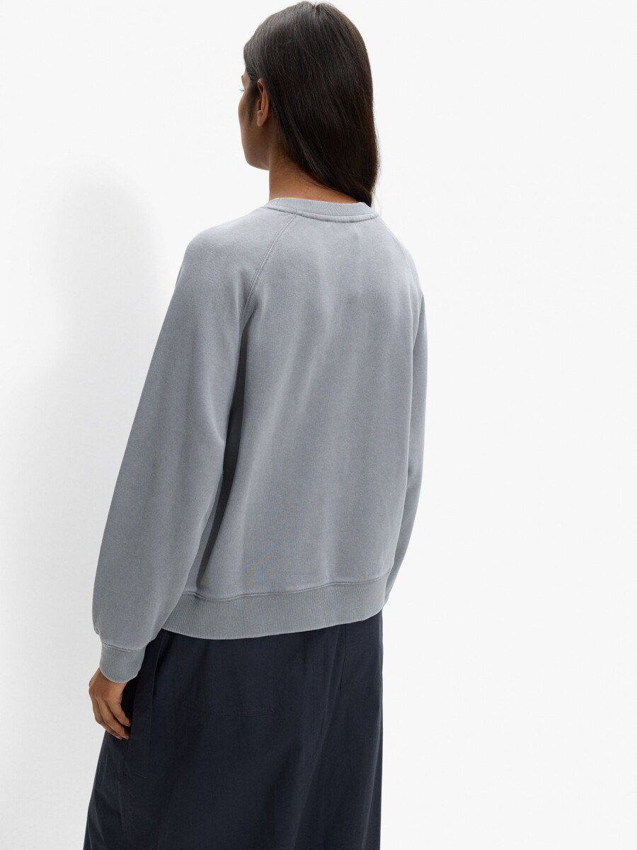 Sudadera De Algodón Con Bordado gris