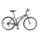 Bicicleta Baccio Alpina Lady Rodado 26 Montaña Con 6 Cambios Shimano Gris/Rosa