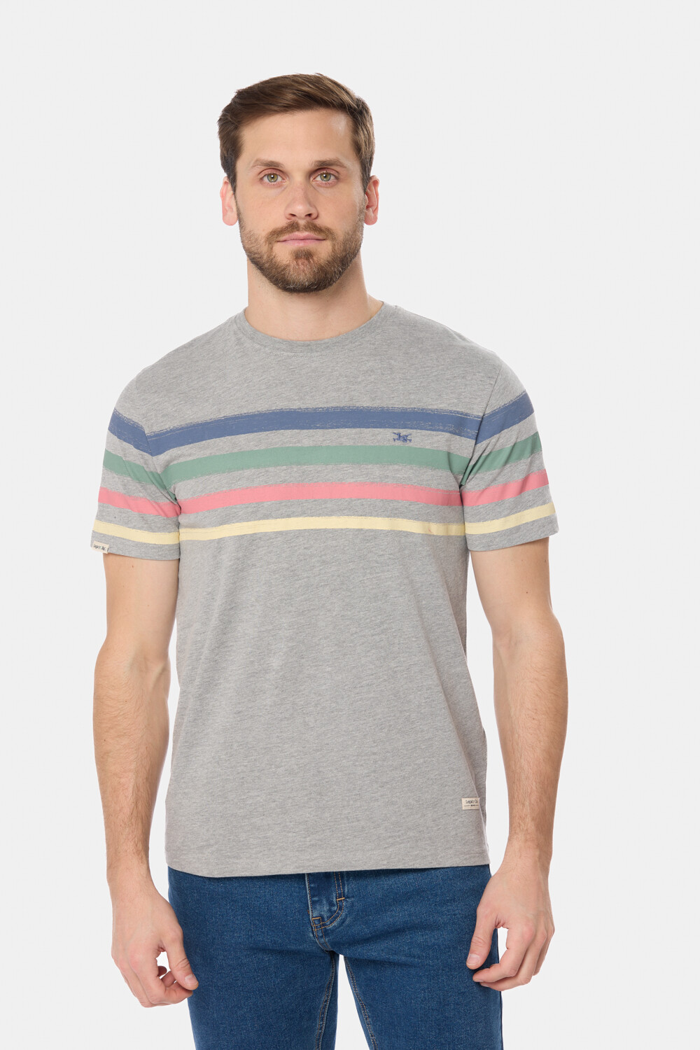 REMERA RAYADA Gris