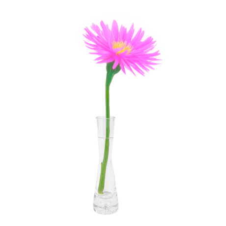 Florero de vidrio Florero de vidrio