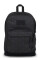 MOCHILA RIGHT PACK SUBTLE SKULL