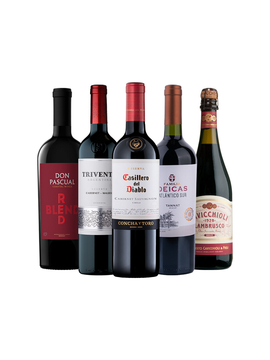Pack Bacán Selección Para compartir x5 vinos Pack Bacán Selección Para compartir x5 vinos