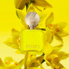 Shakira Amarillo Estuche Eau de Parfum 50ml + Loción Corporal 75ml - Femenino Shakira Amarillo Estuche Eau de Parfum 50ml + Loción Corporal 75ml - Femenino