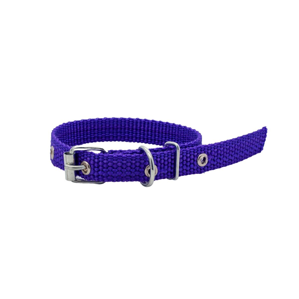 COLLAR CINTA N° 1 - VIOLETA 