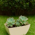MACETA JARDINERA RECTANGULAR FLORATTA NR 30 5,3LTS GRIS