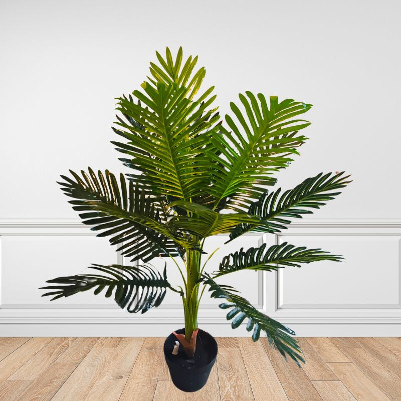 Planta Cycas 1.2 Mtros Planta Cycas 1.2 Mtros