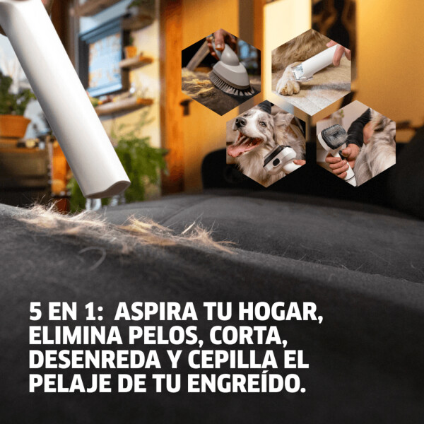 Aspiradora Karcher Cepillo Mascotas Para Perro Gato Pet Clean 5 En 1 ASPIRADORA PARA MASCOTAS KARCHER