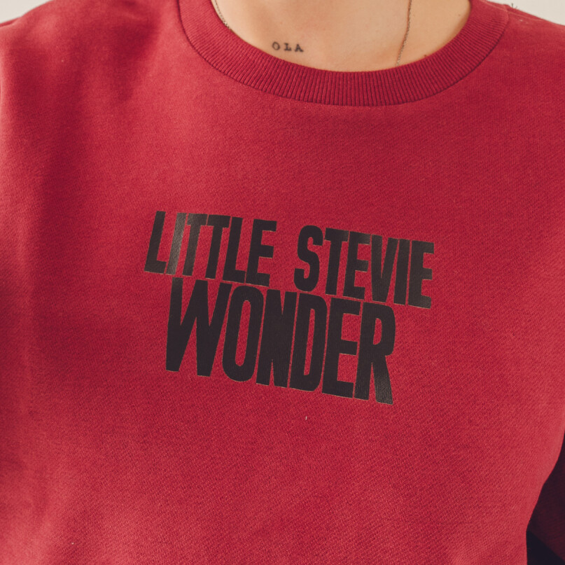 BUZO STEVIE WONDER BUZO STEVIE WONDER