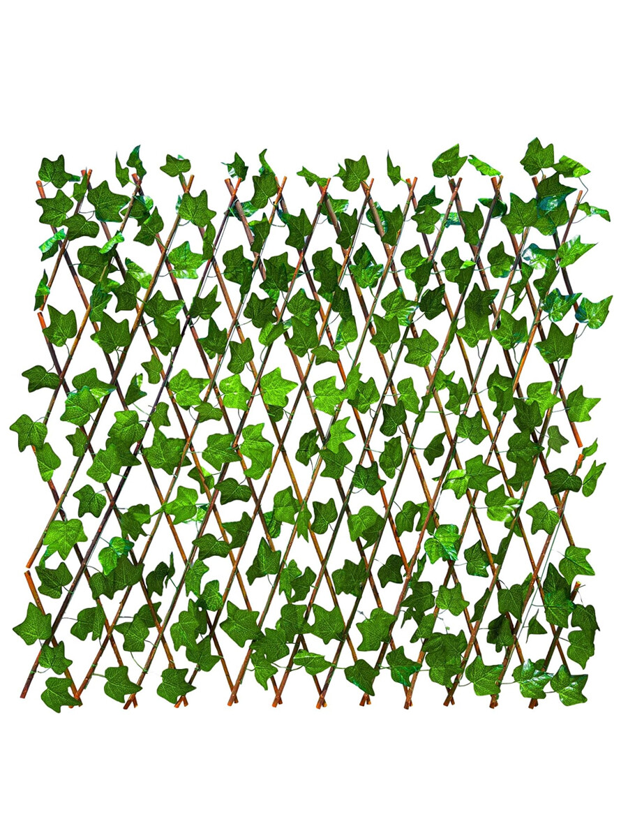 ENREDADERA EXTENSIBLE - VERDE 
