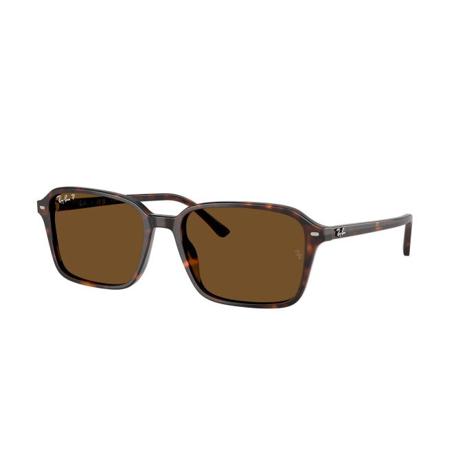 Rayban 2231 Havana Polarizado
