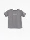 REMERA SAMUEL PRINT GRIS