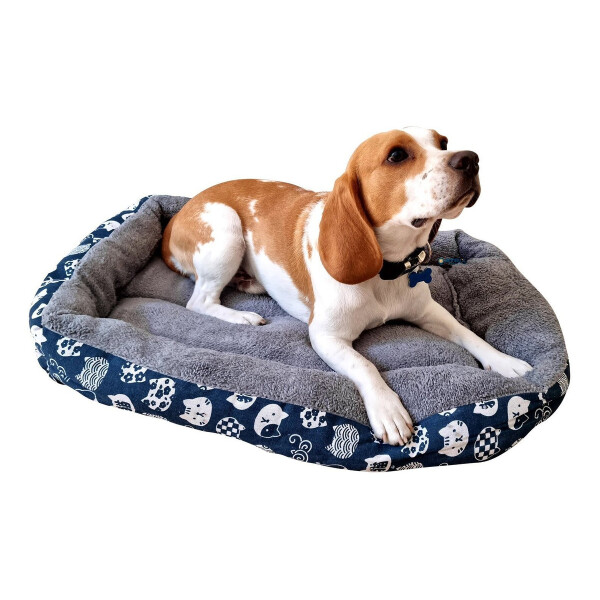 Cucha Cama Colchón Perro Mascota Gato 61 X 40 Rectangular Variante Gato