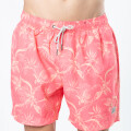 SHORT CALVIN RUSTY Coral