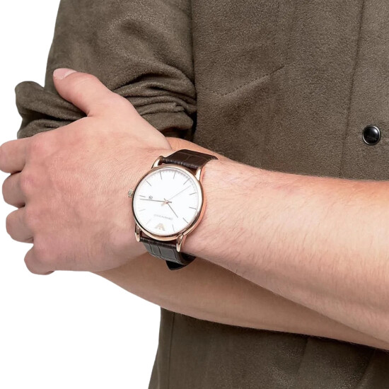 Reloj EMPORIO ARMANI AR2502 Cuero Marron 43mm 0