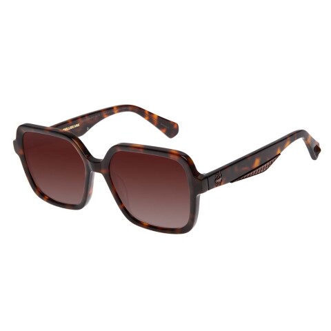 Lentes de Sol Ccxp 2023 - Harry Potter Cuadrado - Mujer Tortuga/Caramelo