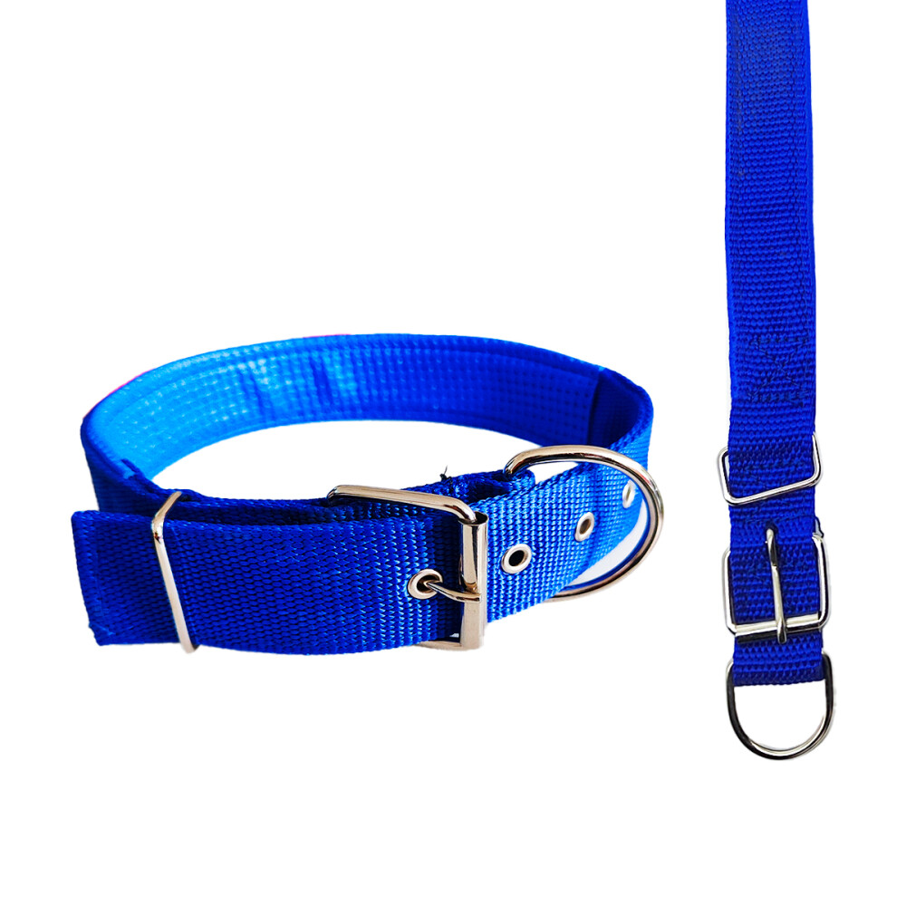 Collar 4cm Perros Acolchado Grande Mascotas Color azul