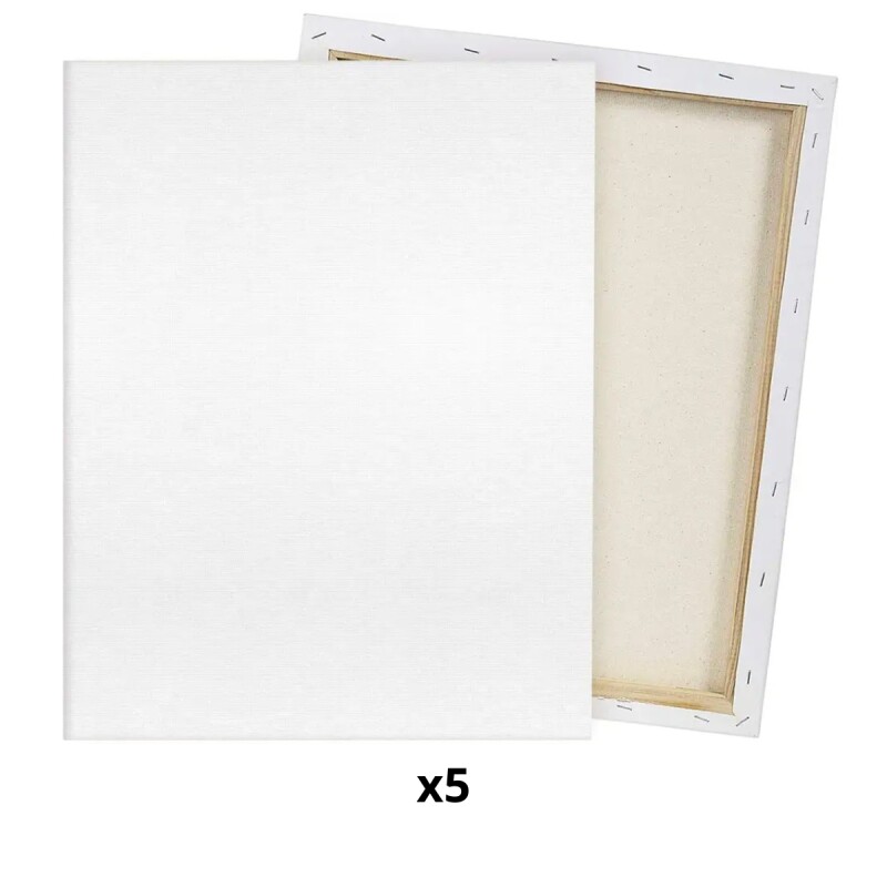 Set x5 Lienzo de 25x25 BLANCO