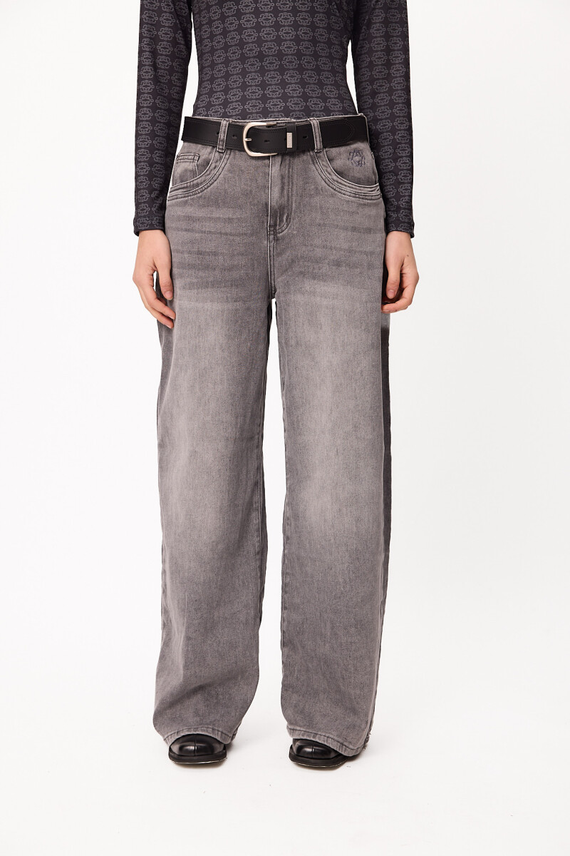 Jean Delhi Gris Washed