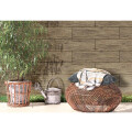 SEMIGRES MADERADO ÁRBOL TAUPE LDL "A" 20X120 CM Semigres Maderado árbol Taupe Ldl "a" 20x120 Cm