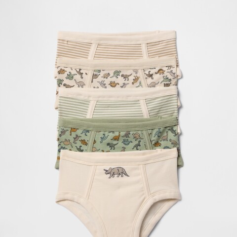 V-TB 5PK UNDRWR DESERT SAGE