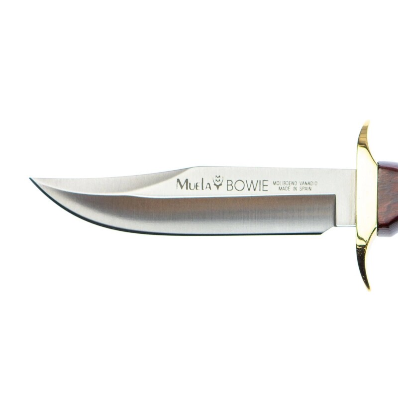 Cuchillo Muela BW-10 – Cuchillo Deportivo de Alta Calidad MUELA - CUCHILLOS DEPORTIVOS - BW-10