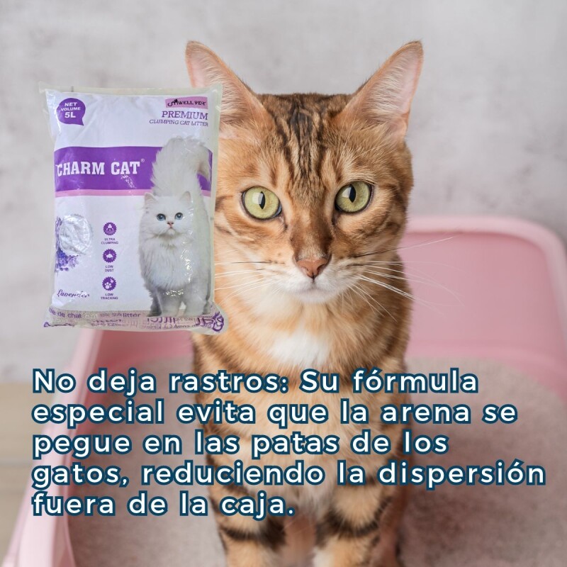 ARENA SANITARIA AGLOMERANTE CHARM CAT PREMIUM BAJO POLVO SIN OLORES 4 KILOS